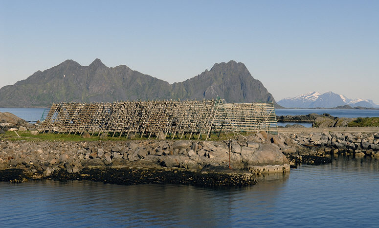 Rødøyfjorden